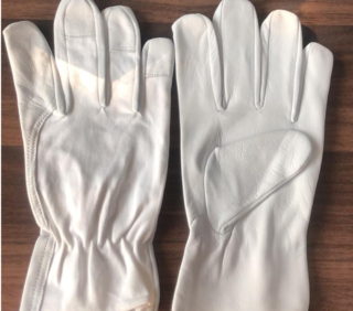 Leather Glove